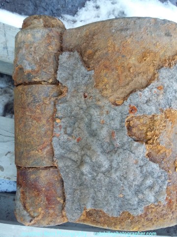 JonathanMentPhotography_171433_new