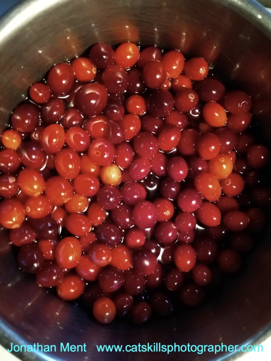 JonathanMentIMG_20190607_065910685_wm